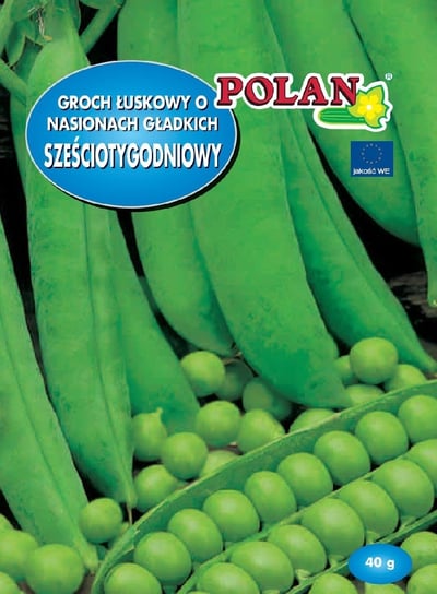 Groch Siewny Łuskowy Sześciotygodniowy Nasiona 40g Polan Polan