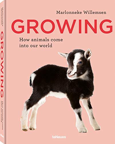Growing: How animals come into our world Opracowanie zbiorowe