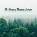 Grünes Rauschen Grünes Rauschen, Weißes Rauschen HD, Weißes Rauschen