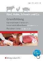 Grundbildung Fachverkäufer/-innen und Fleischer/-innen Bildungsverlag Eins Gmbh