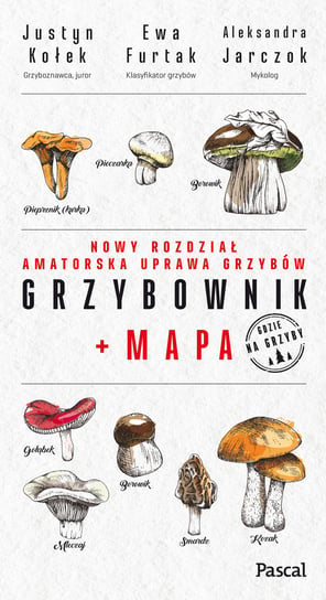 Grzybownik + mapa Kołek Justyn, Furtak Ewa, Aleksandra Jarczok