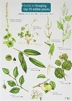 Guide to Foraging: Top 25 Edible Plants Cremona Clare