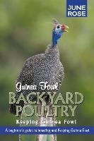 Guinea Fowl, Backyard Poultry Rose June