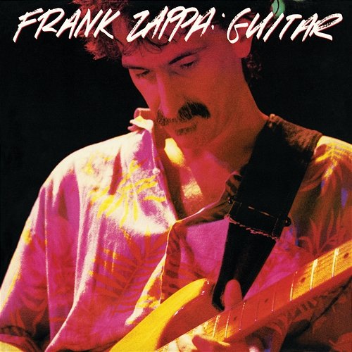 Guitar Frank Zappa
