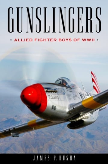 Gunslingers: Allied Fighter Boys of WWII James P. Busha