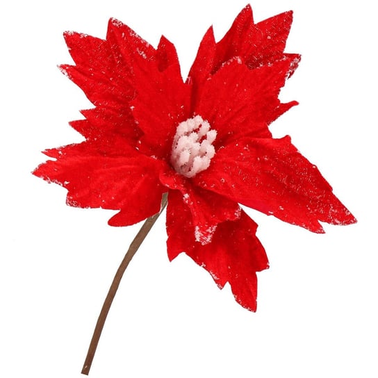 Gwiazda betlejemska 22 cm czerwona poinsecja ozdoba świąteczna Springos