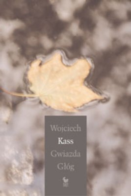 Gwiazda głóg Kass Wojciech