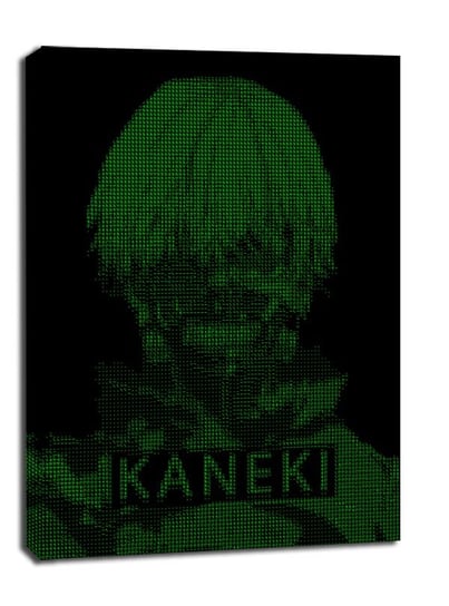 H4CK3D - Kaneki, Tokyo Ghoul - obraz na płótnie 20x30 cm Galeria Plakatu