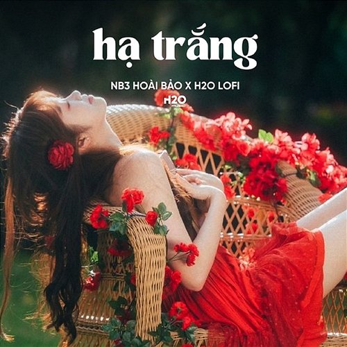 Hạ Trắng H2O Lofi & Nguyeen, NB3 Hoài Bảo