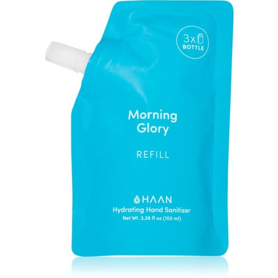 HAAN Hand Care Morning Glory spray czyszczący do rąk ze środkiem antybakteryjnym napełnienie 100 ml haan