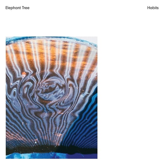Habits Elephant Tree