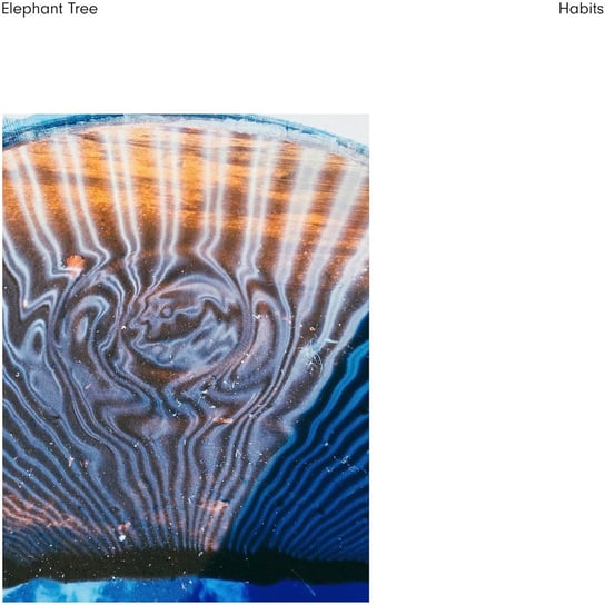 Habits Elephant Tree