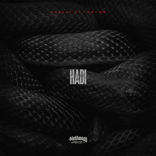 Hadi DJ Kadr, Axel47, Koukr