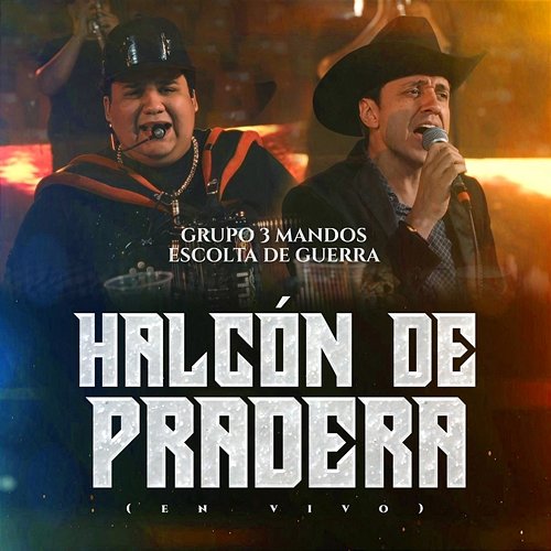 Halcón De Pradera Escolta De Guerra, Grupo 3 Mandos
