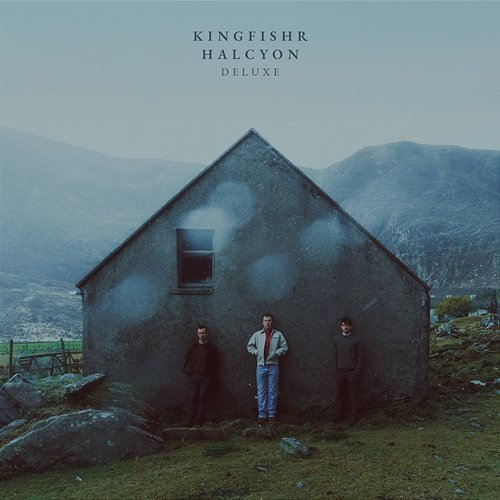 Halcyon Kingfishr