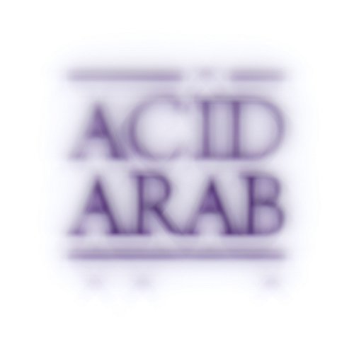Halim Guelil Acid Arab, Cheb Halim