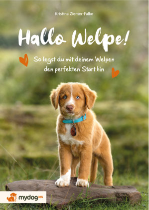 Hallo Welpe! zsr Verlag