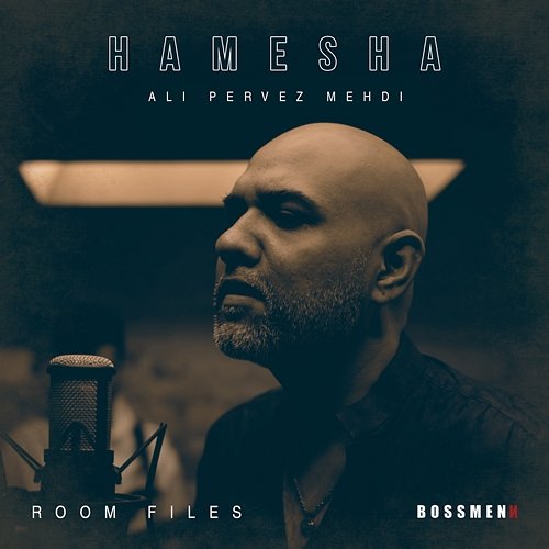 Hamesha Boss Menn, Ali Pervez Mehdi