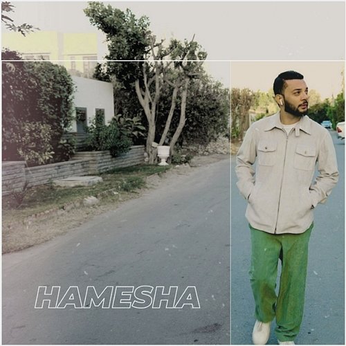 Hamesha Vic Ali
