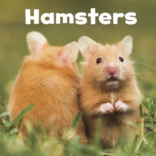 Hamsters Amstutz Lisa J.