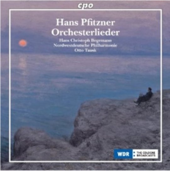 Hans Pfitzner: Orchesterlieder Various Artists