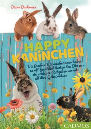 Happy Kaninchen Cadmos