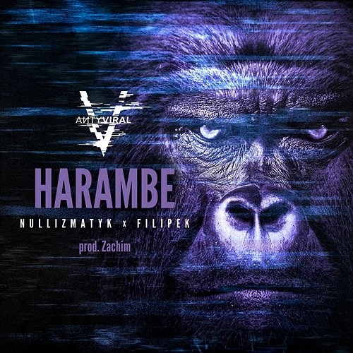 Harambe Filipek, Nullizmatyk, Zachim