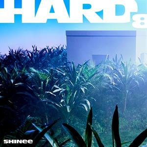 Hard Shinee