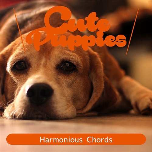 Harmonious Chords Cute Puppies