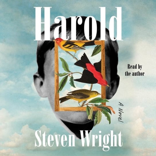 Harold - audiobook Steven Wright