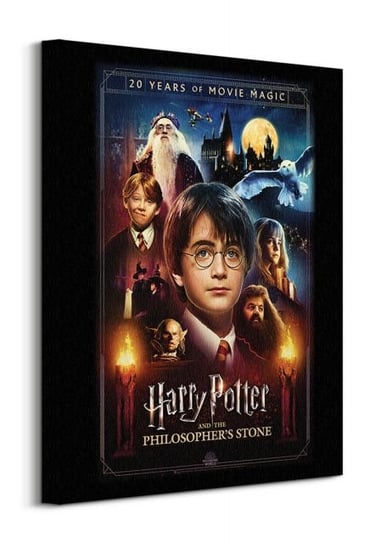 Harry Potter 20 Years Of Movie Magic - obraz na płótnie Pyramid Posters