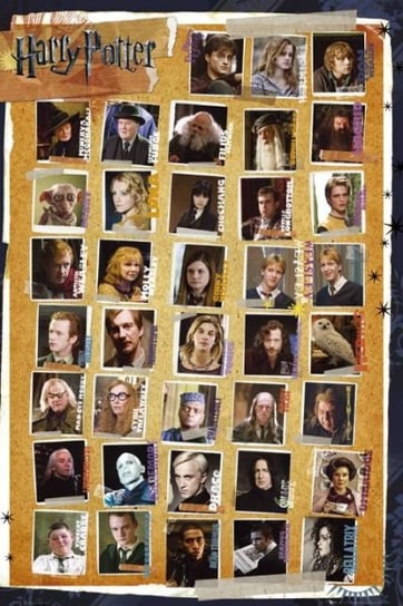 Harry Potter 7 Characters - plakat 61x91,5 cm GBeye