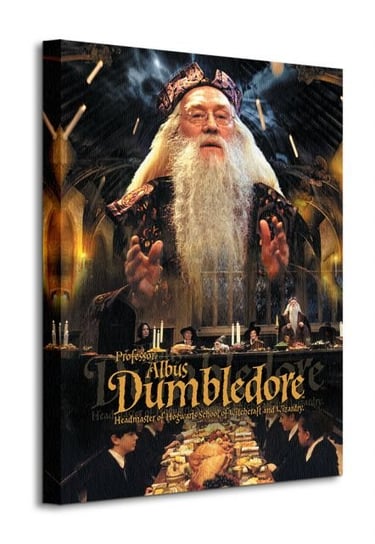 Harry Potter Dumbledore - obraz na płótnie Art Group