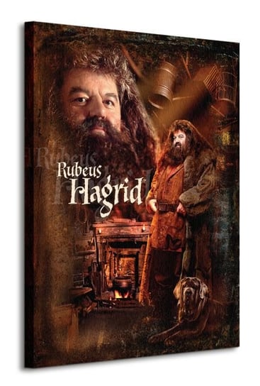 Harry Potter Hagrid - obraz na płótnie Art Group
