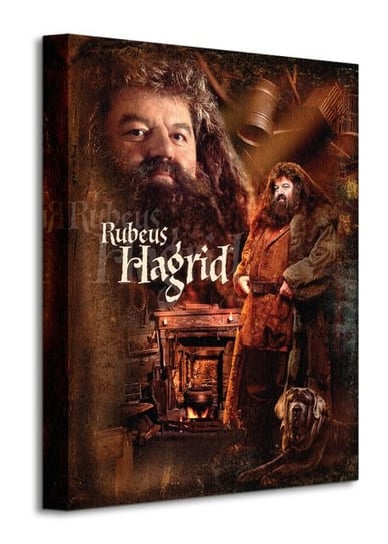Harry Potter Hagrid - obraz na płótnie Art Group