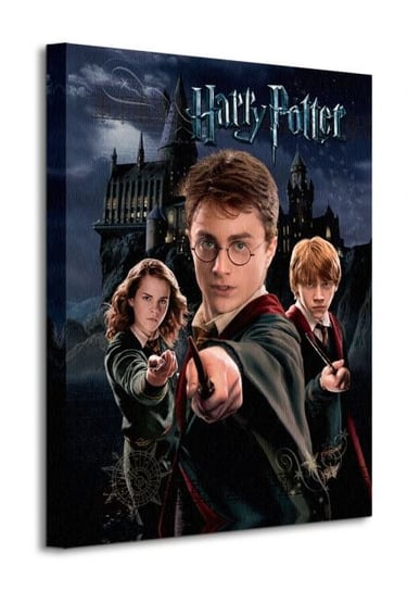 Harry Potter Harry Ron Hermione - obraz na płótnie Art Group