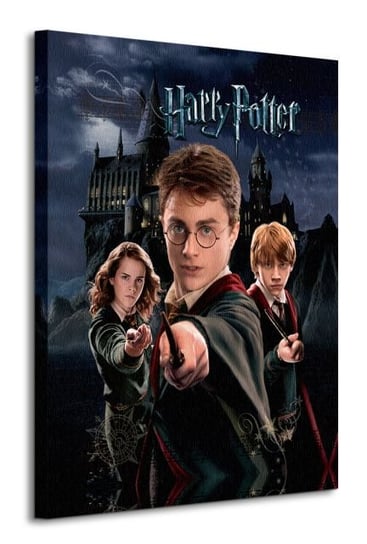 Harry Potter Harry Ron Hermione - obraz na płótnie Art Group
