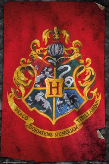 Harry Potter - Hogwart Flaga - plakat 61x91,5 cm GBeye