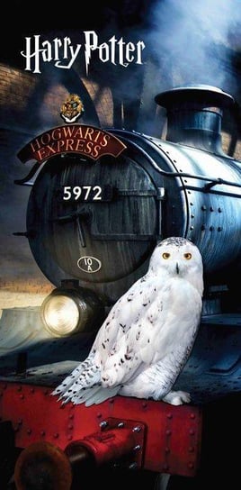Harry Potter Hogwart Sowa Ręcznik Dla Dzieci Jerry Fabrics