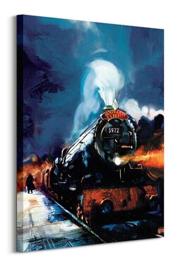 Harry Potter Hogwarts Express - obraz na płótnie Pyramid Posters