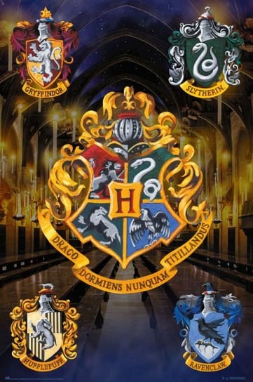 Harry Potter Hogwarts - plakat Grupoerik