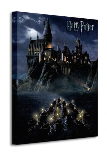 Harry Potter Hogwarts School - obraz na płótnie Art Group