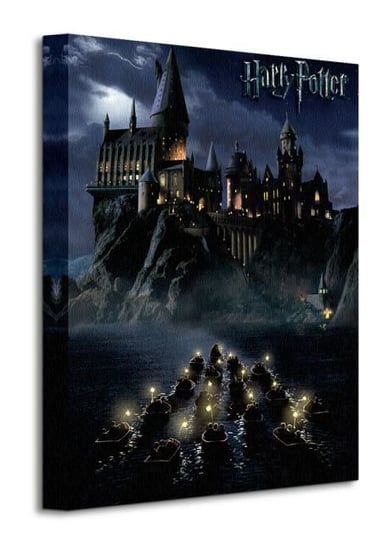 Harry Potter Hogwarts School - obraz na płótnie Art Group