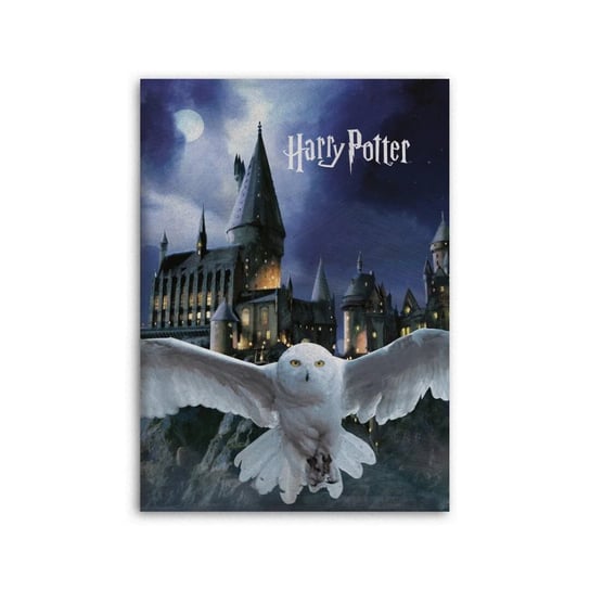 Harry Potter, koc 140x100cm Hedwiga Hogwart, aymax Aymax