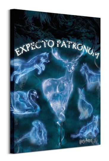 Harry Potter Patronus - obraz na płótnie Pyramid Posters