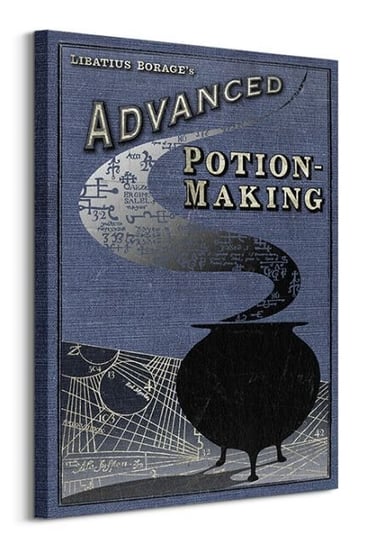 Harry Potter Potion Making - obraz na płótnie Pyramid Posters