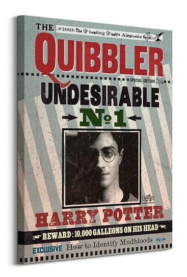 Harry Potter Quibbler - obraz na płótnie Pyramid Posters