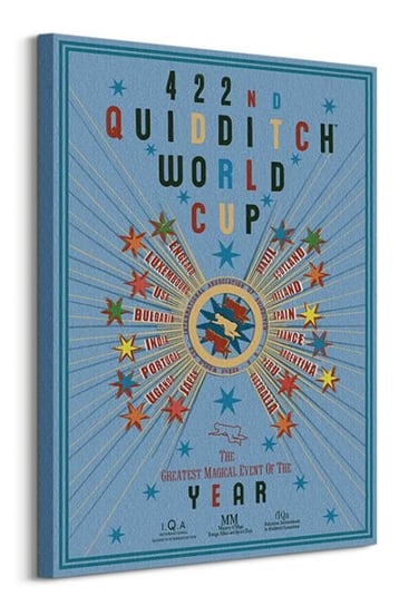 Harry Potter Quidditch World Cup - obraz na płótnie Pyramid Posters