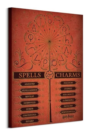 Harry Potter Spells and Charms  - obraz na płótnie Pyramid Posters