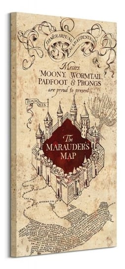 Harry Potter (The Marauders Map) - Obraz na płótnie Pyramid Posters